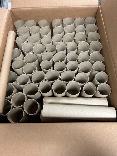 Empty cardboard toilet roll - 60,