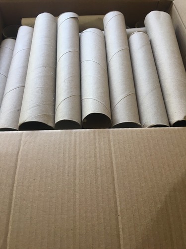 Empty kitchen rolls seed - 67,